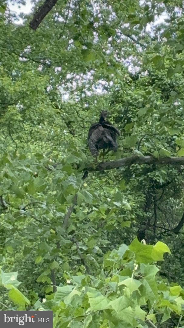 9140 Stonegarden Dr Property Photo 33