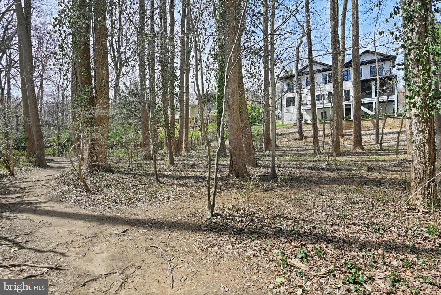 1564 Forest Villa Ln Property Photo 57