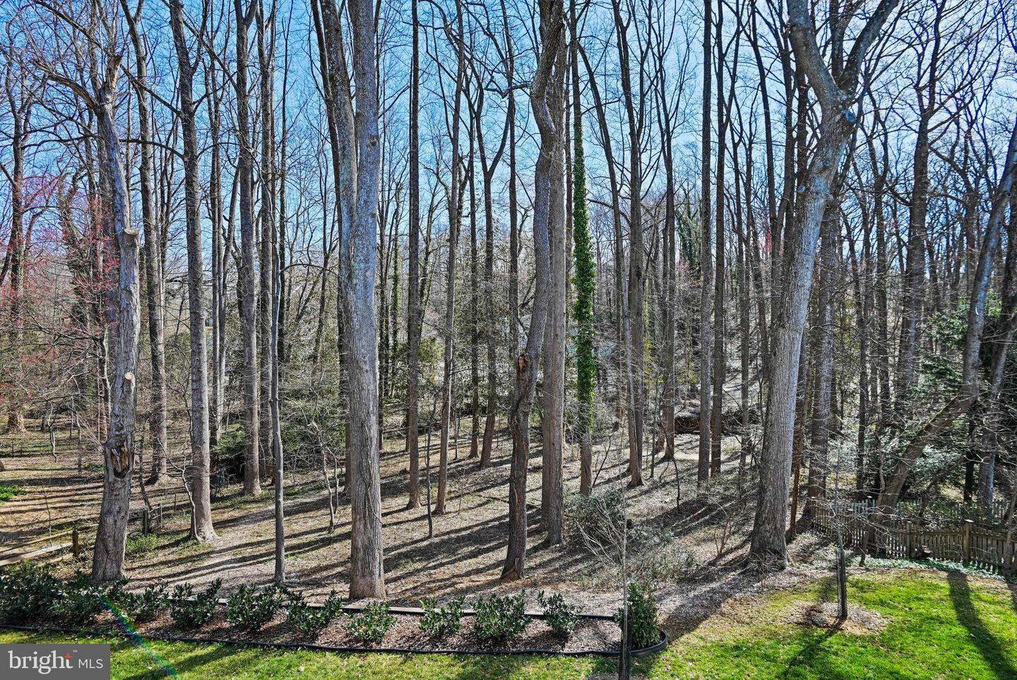 1564 Forest Villa Ln Property Photo 61
