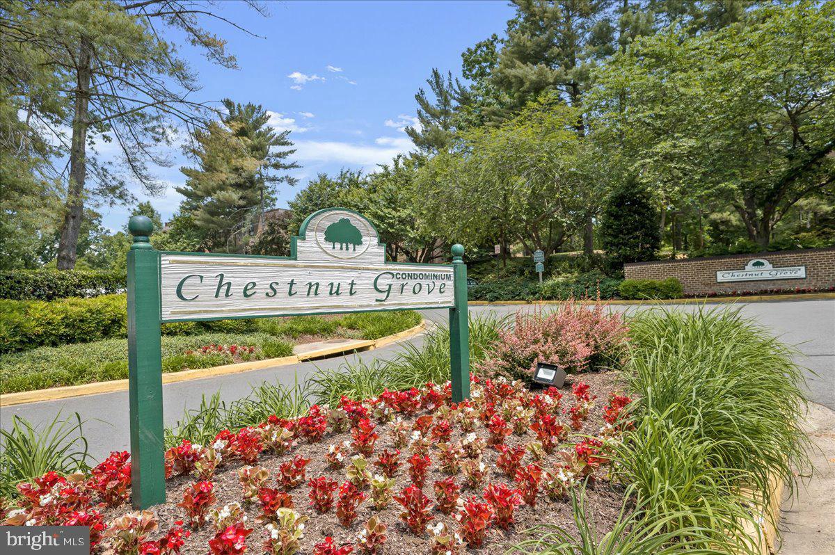 11248 Chestnut Grove Sq #249 Property Photo 31