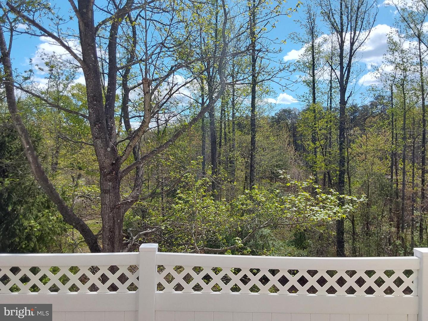 6985 Forepond Ct Property Photo 49