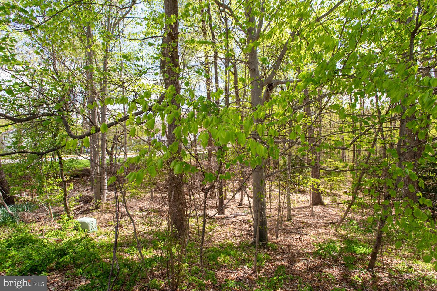 8062 Steeple Chase Ct Property Photo 8