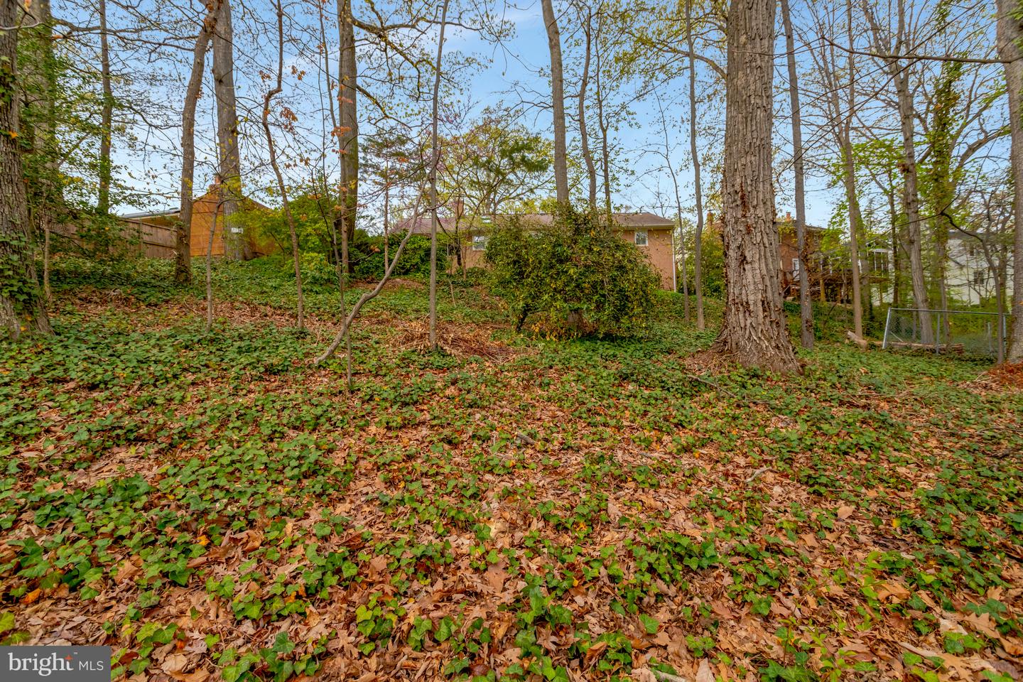 5820 Bush Hill Dr Property Photo 66