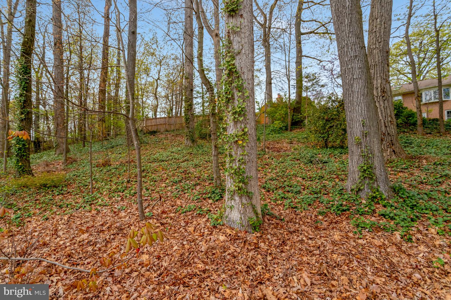 5820 Bush Hill Dr Property Photo 67