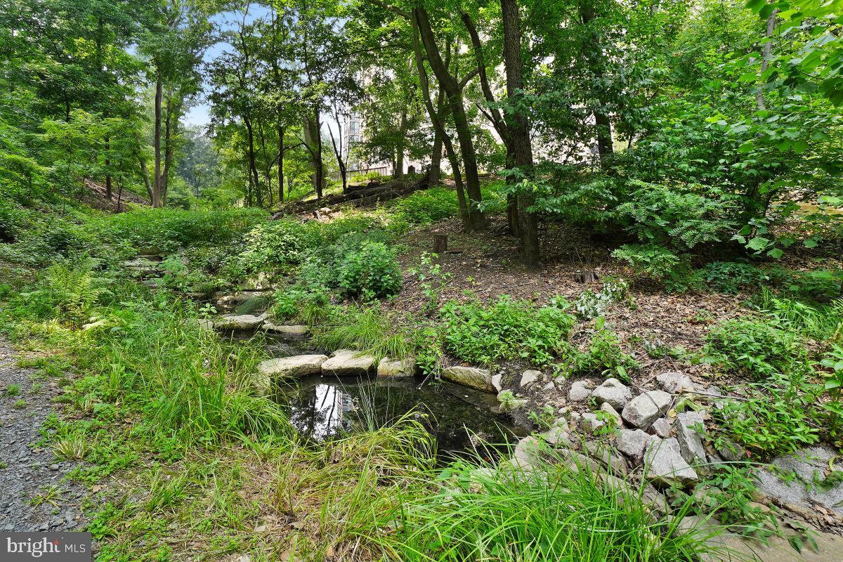 5901 Mount Eagle Dr #1610 Property Photo 106