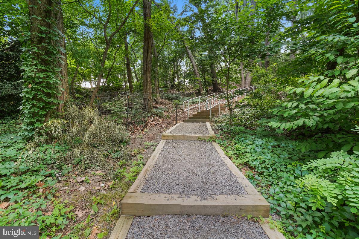 5901 Mount Eagle Dr #1610 Property Photo 107