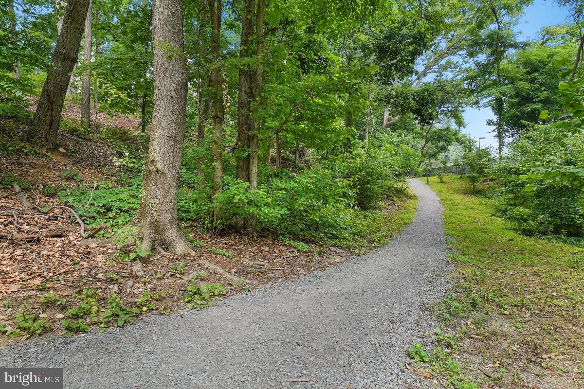 5901 Mount Eagle Dr #1610 Property Photo 108