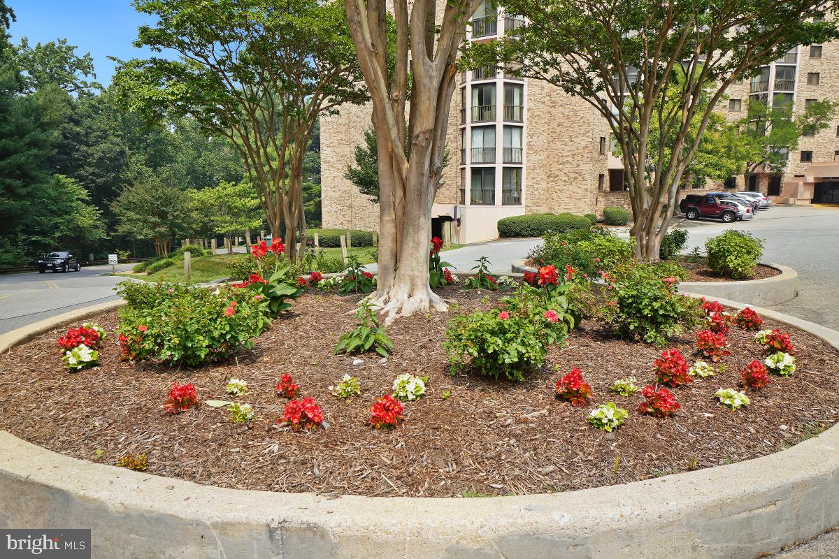 5901 Mount Eagle Dr #1610 Property Photo 119