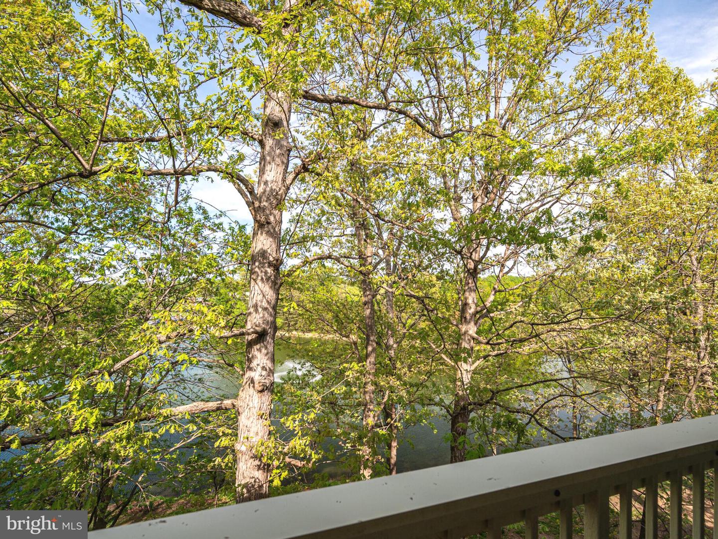 1720 Lake Shore Crest Dr #35 Property Photo 37