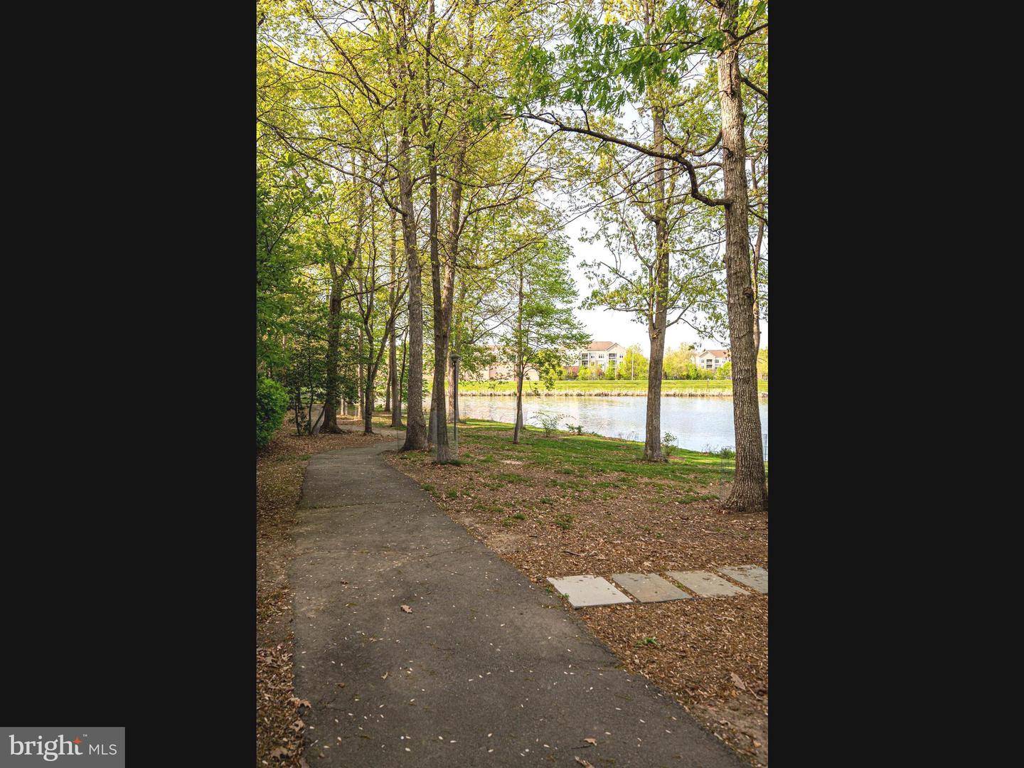 1720 Lake Shore Crest Dr #35 Property Photo 39