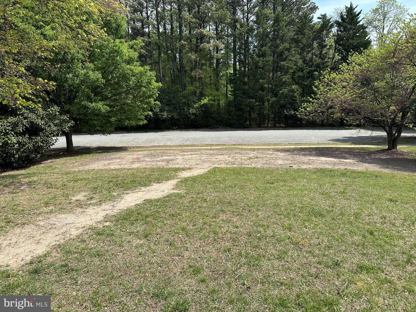 5649 Mount Gilead Rd Property Photo 19