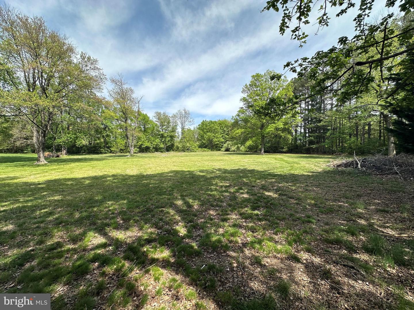 5649 Mount Gilead Rd Property Photo 21