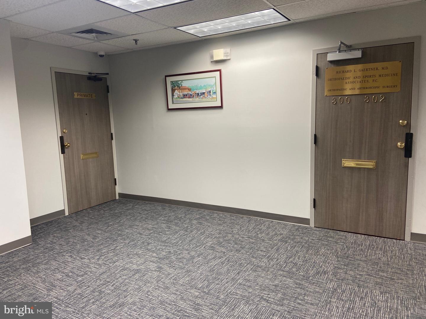 133 Maple Ave E #300 Property Photo 6