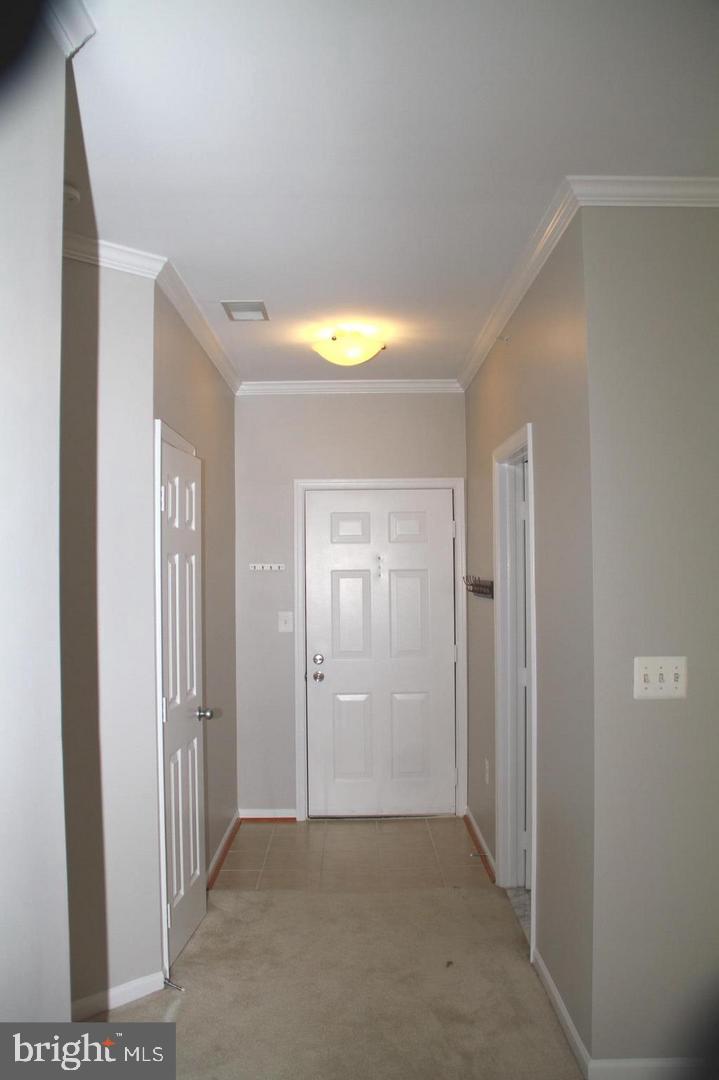 1520 North Point Dr #301 Property Photo 8