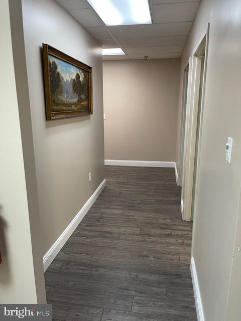 2875 Towerview Rd #2nd Floor Suite Property Photo 13