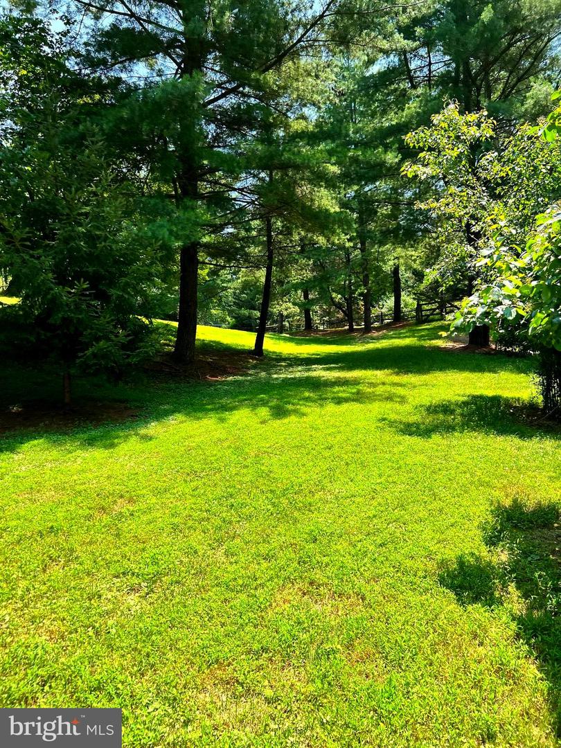 250 Golden Woods Ct Property Photo 97