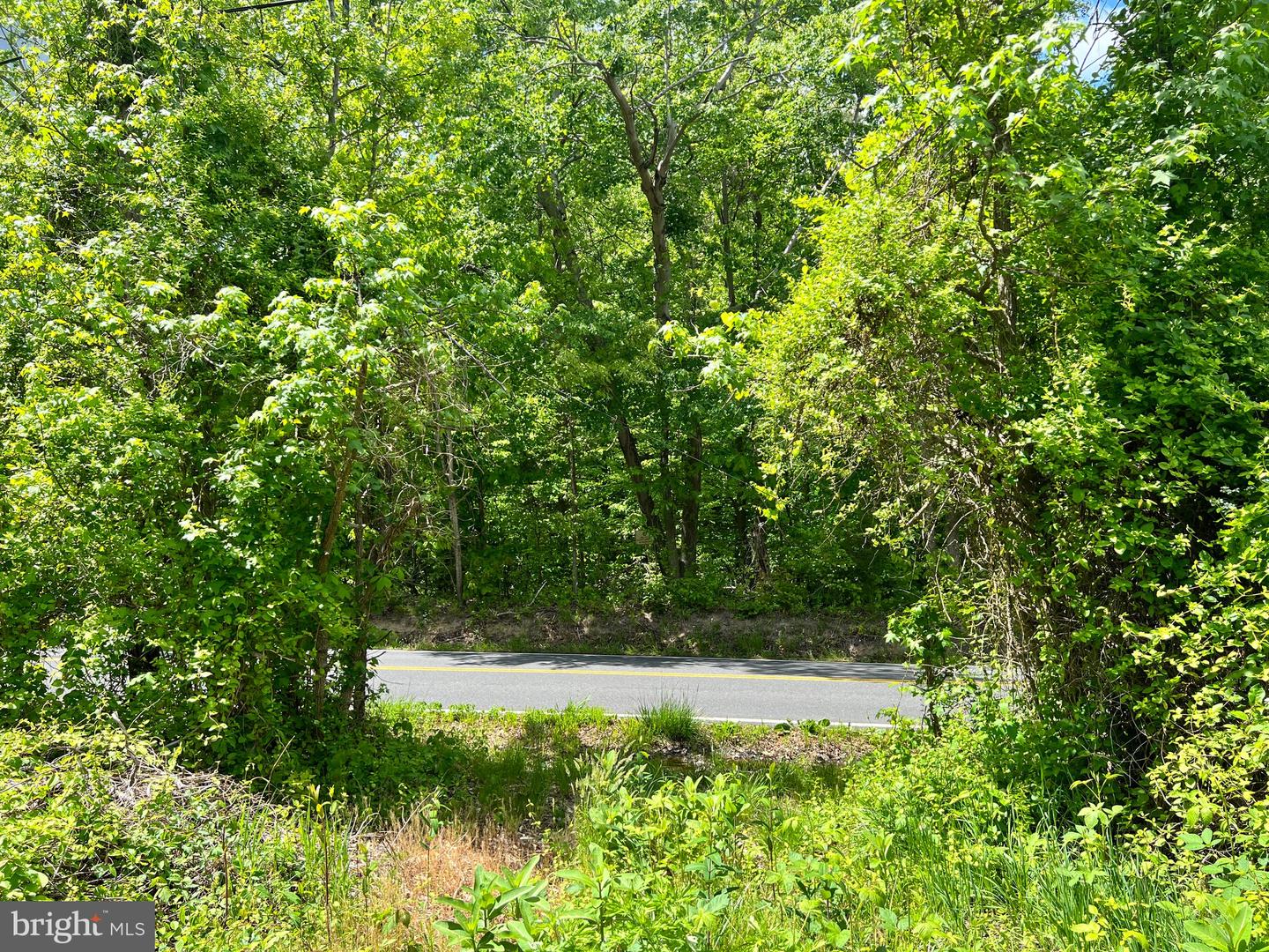 Old Colchester Rd Property Photo 32