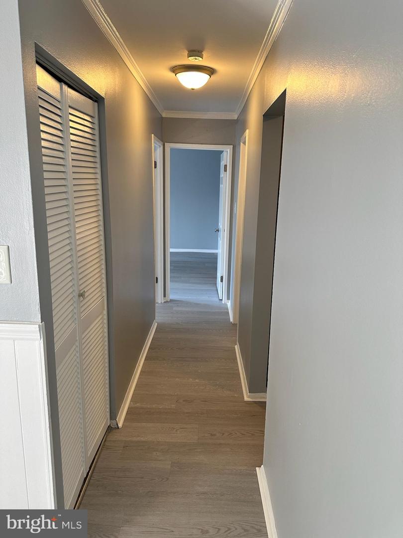 7997 Audubon Ave #303 Property Photo 18