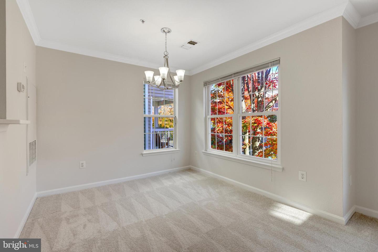 12912 Fair Briar Ln Property Photo 12