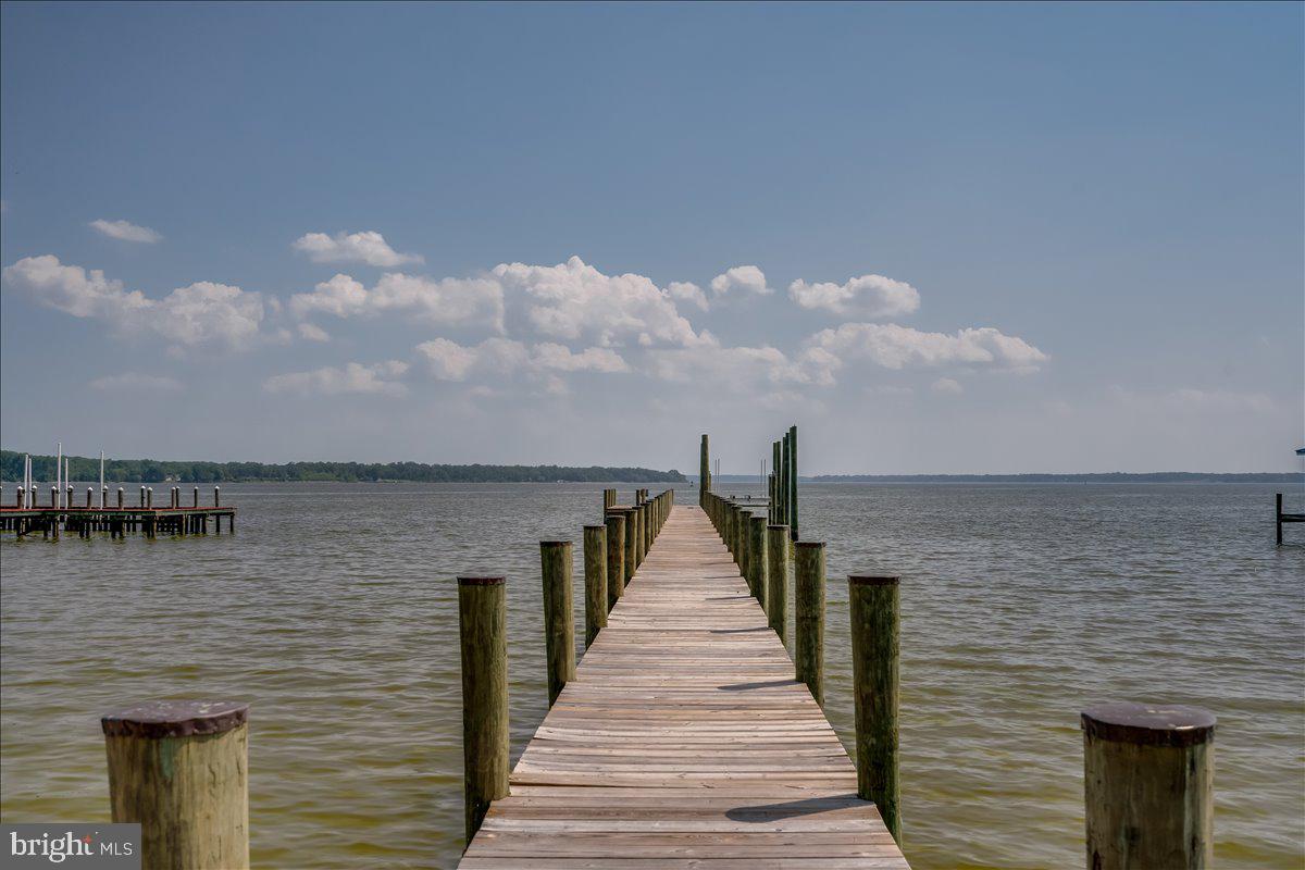 9433 Ferry Landing Ct Property Photo 98