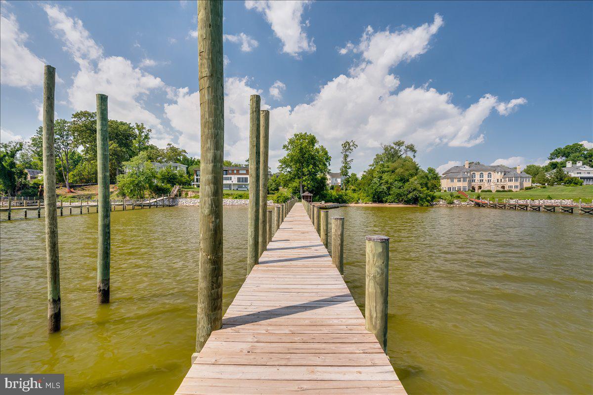 9433 Ferry Landing Ct Property Photo 101