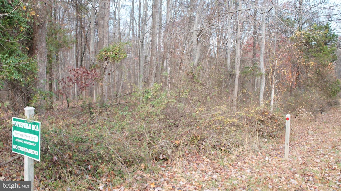 3140 Searsmont Pl Property Photo 3
