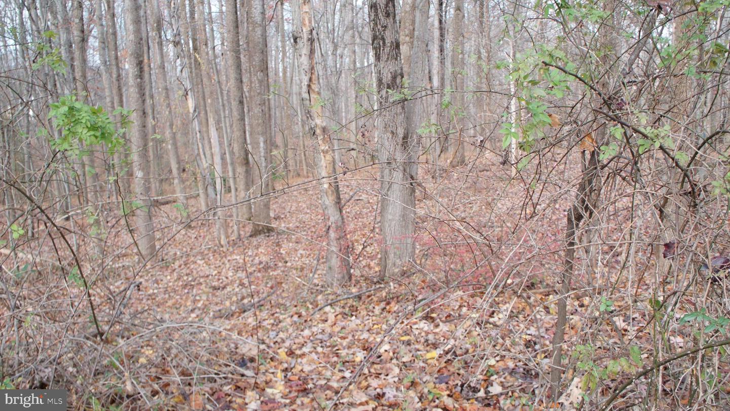 3140 Searsmont Pl Property Photo 5