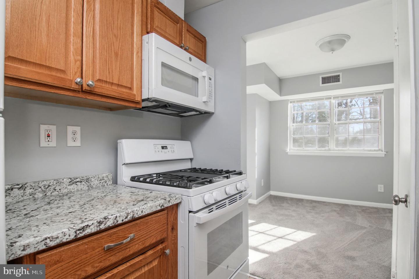 7096 Spring Garden Dr #102 Property Photo 13