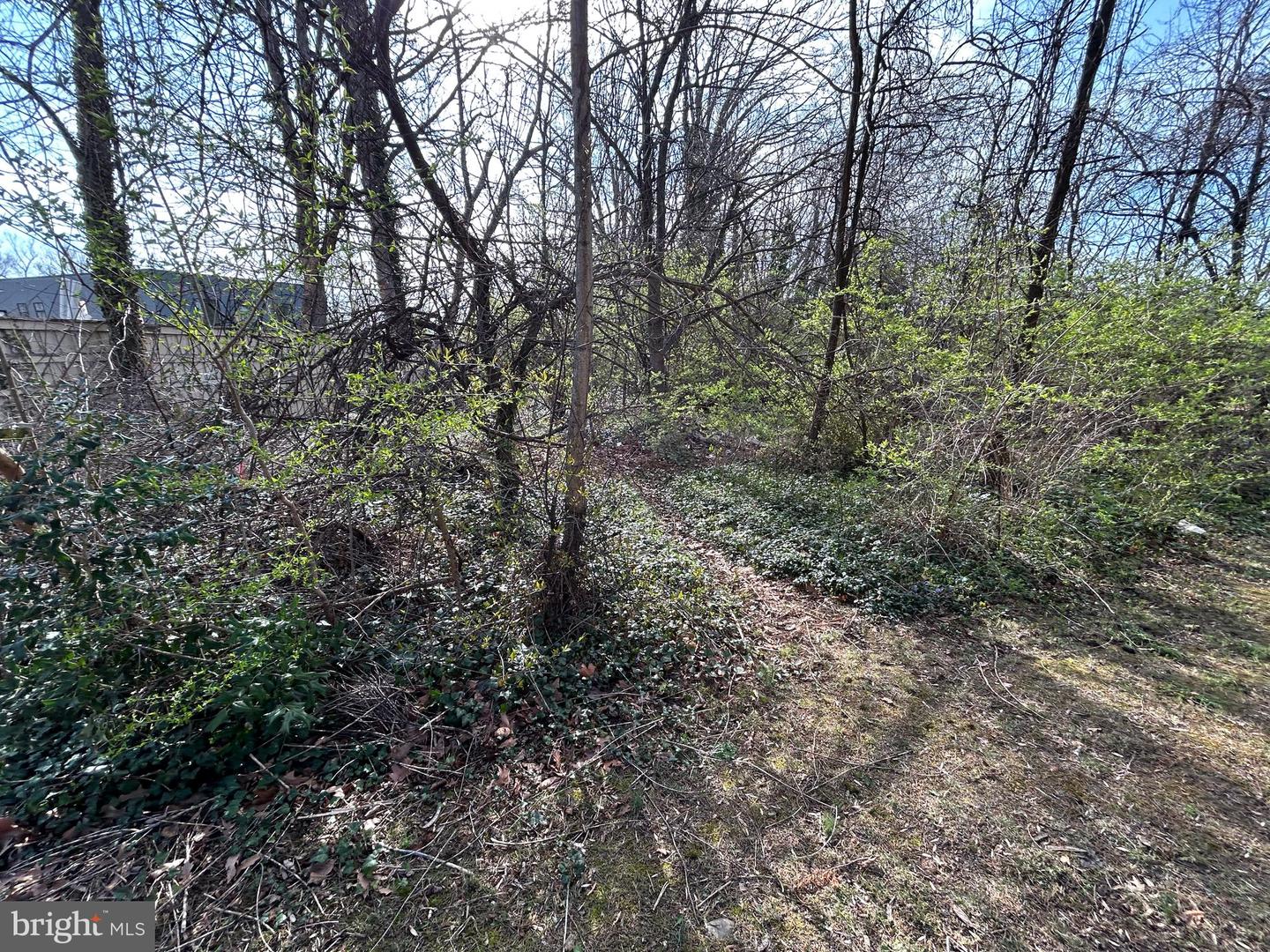 6418 Columbia Pike Property Photo 3