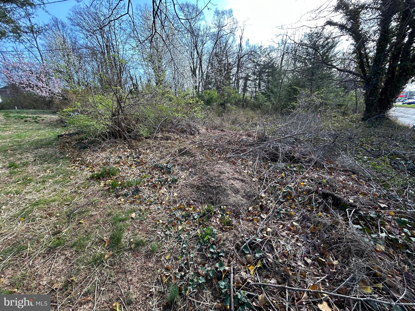 6418 Columbia Pike Property Photo 5