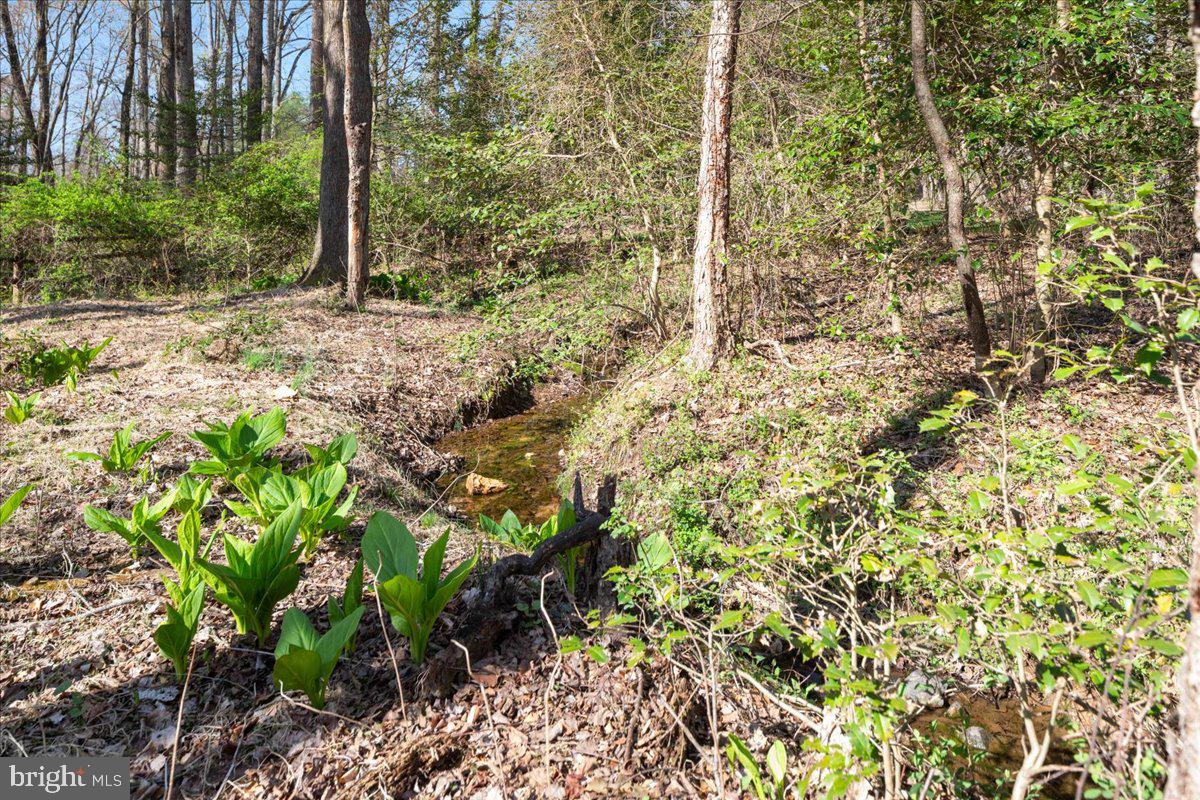 532 Walker Rd Property Photo 83
