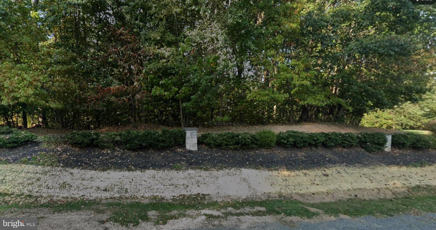 10848 Patowmack Dr Property Photo 2