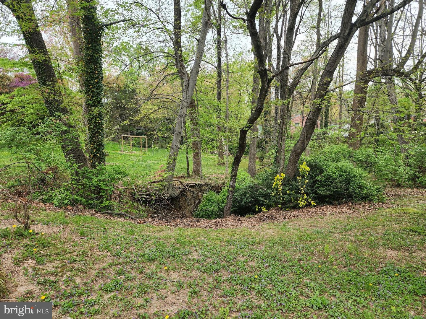 7669 Long Pine Dr Property Photo 2