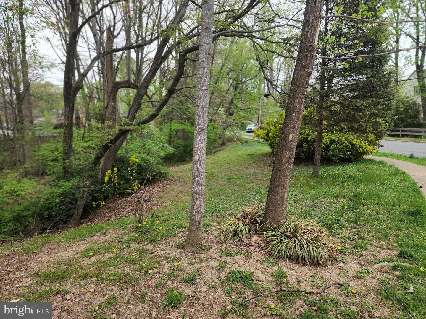 7669 Long Pine Dr Property Photo 4
