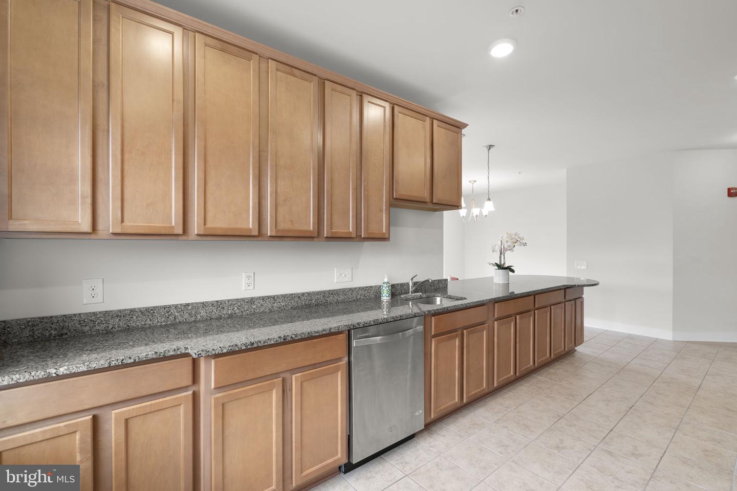 9521 Bastille St #305 Property Photo 15