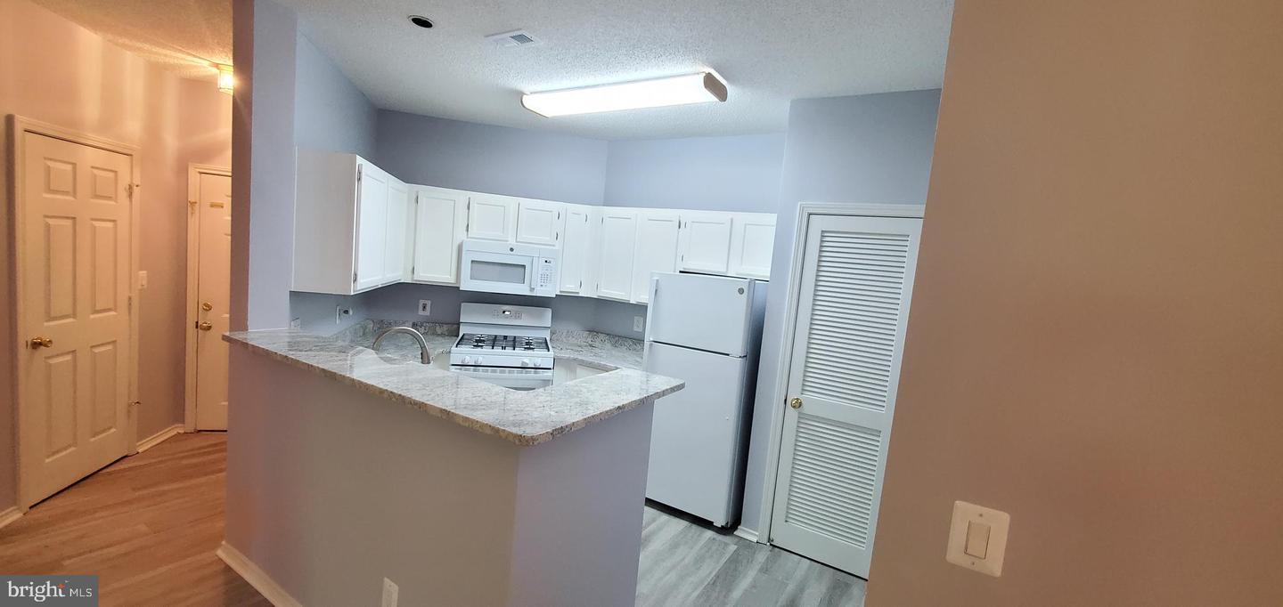 4417 Fair Stone Dr #303 Property Photo 4