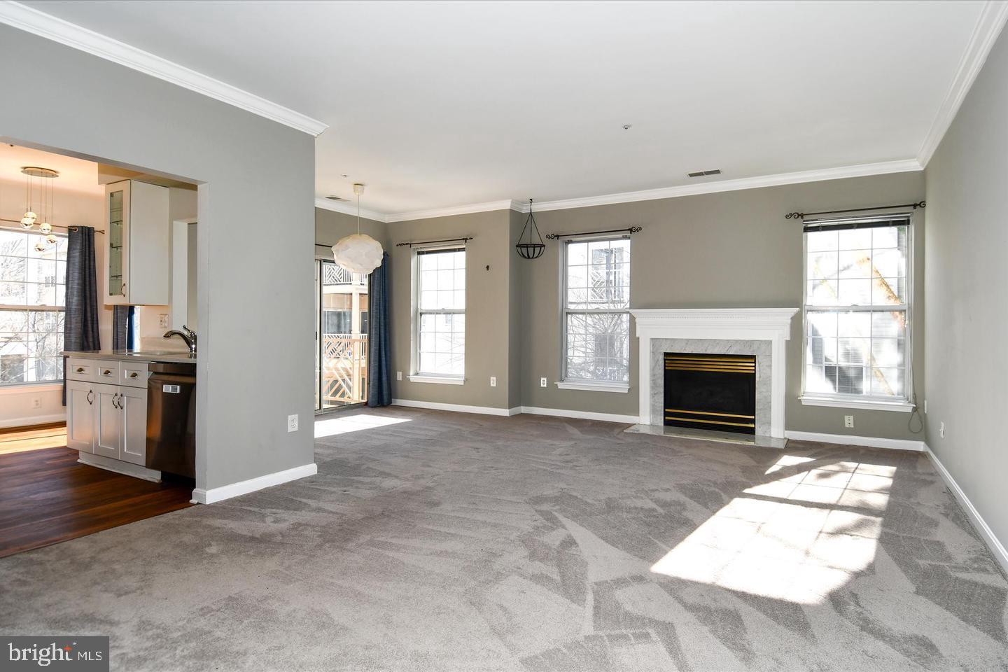 5909 Founders Hill Dr #202 Property Photo 6