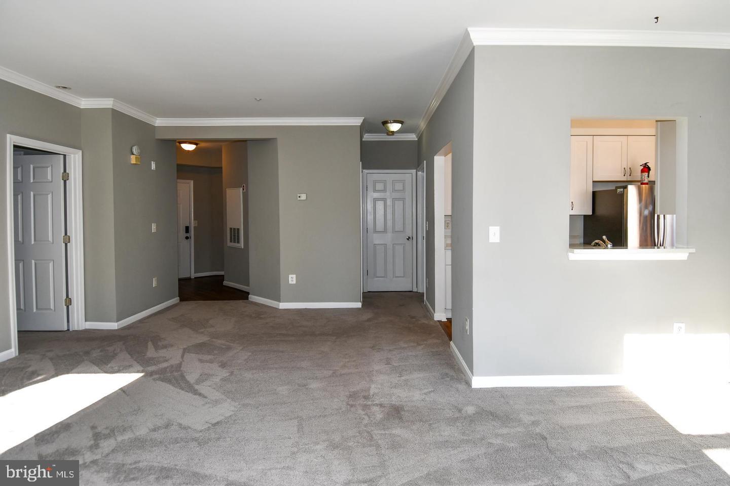 5909 Founders Hill Dr #202 Property Photo 10