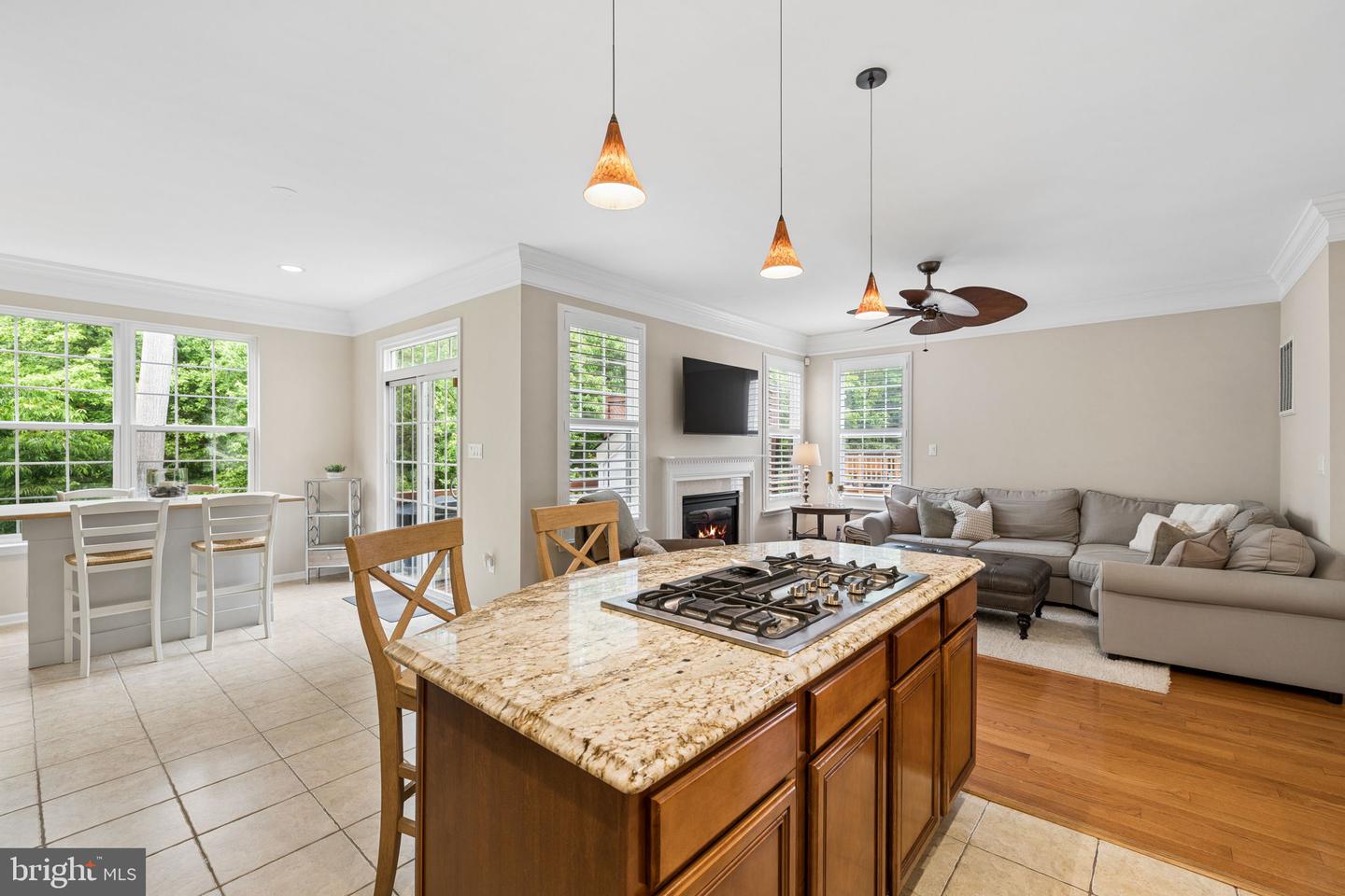 12654 Heron Ridge Dr Property Photo 11