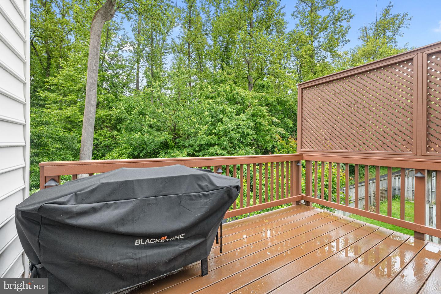 12654 Heron Ridge Dr Property Photo 41