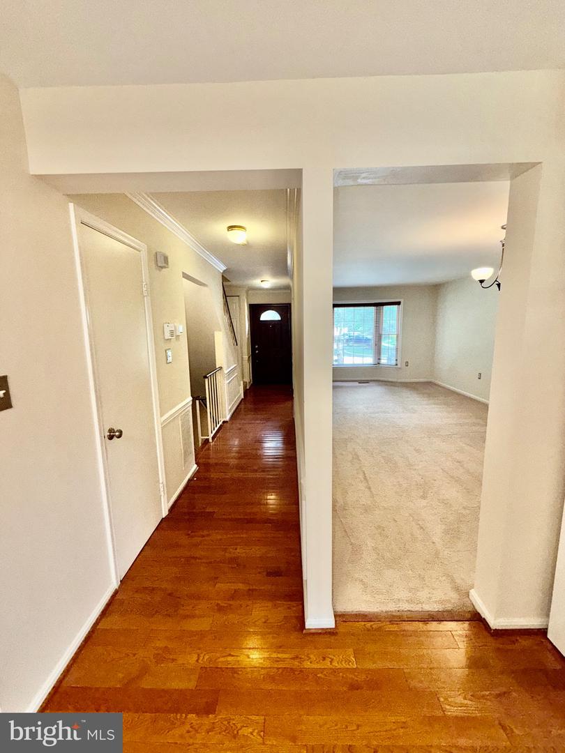 10313 Latney Rd Property Photo 11
