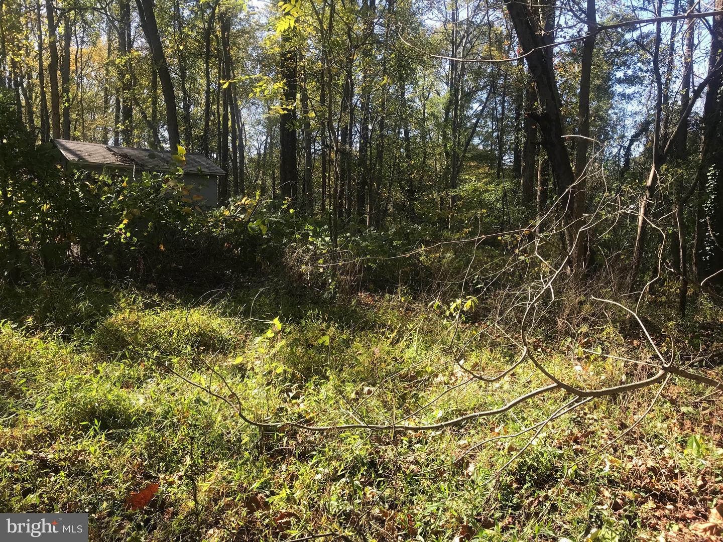 8305 Telegraph Property Photo 3