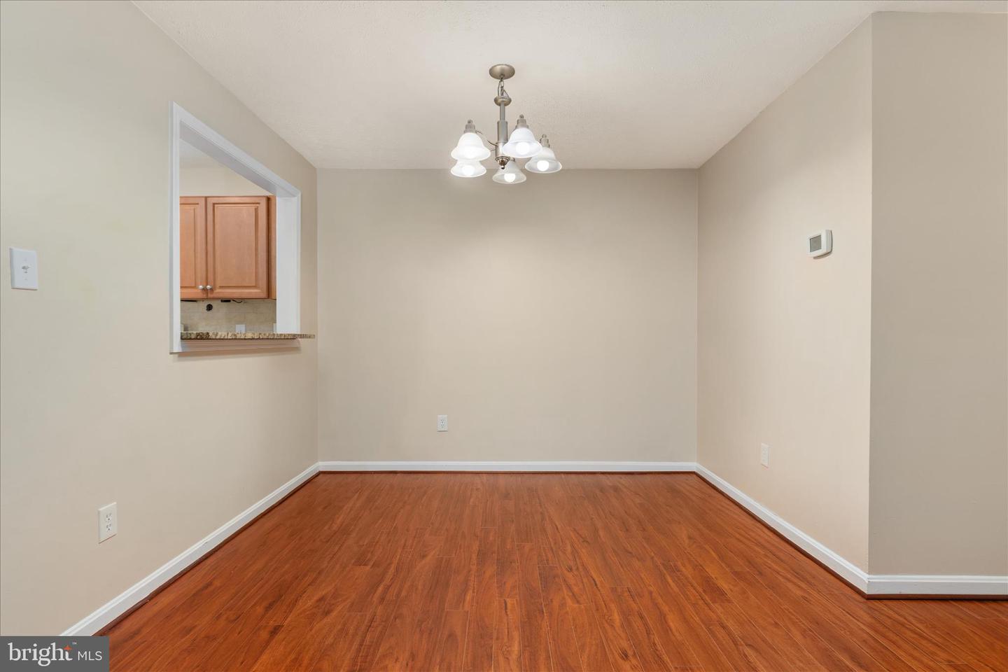 10110 Oakton Terrace Rd #10110 Property Photo 10