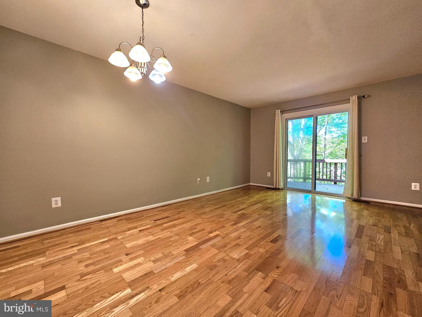 7664 Northern Oaks Ct Property Photo 9