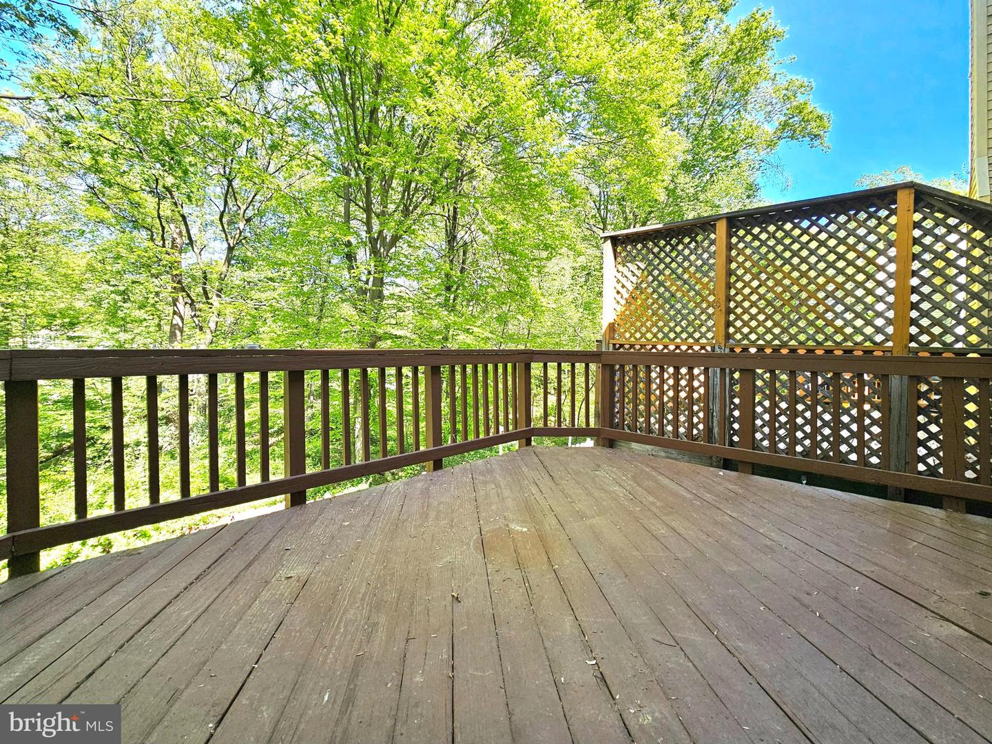 7664 Northern Oaks Ct Property Photo 11