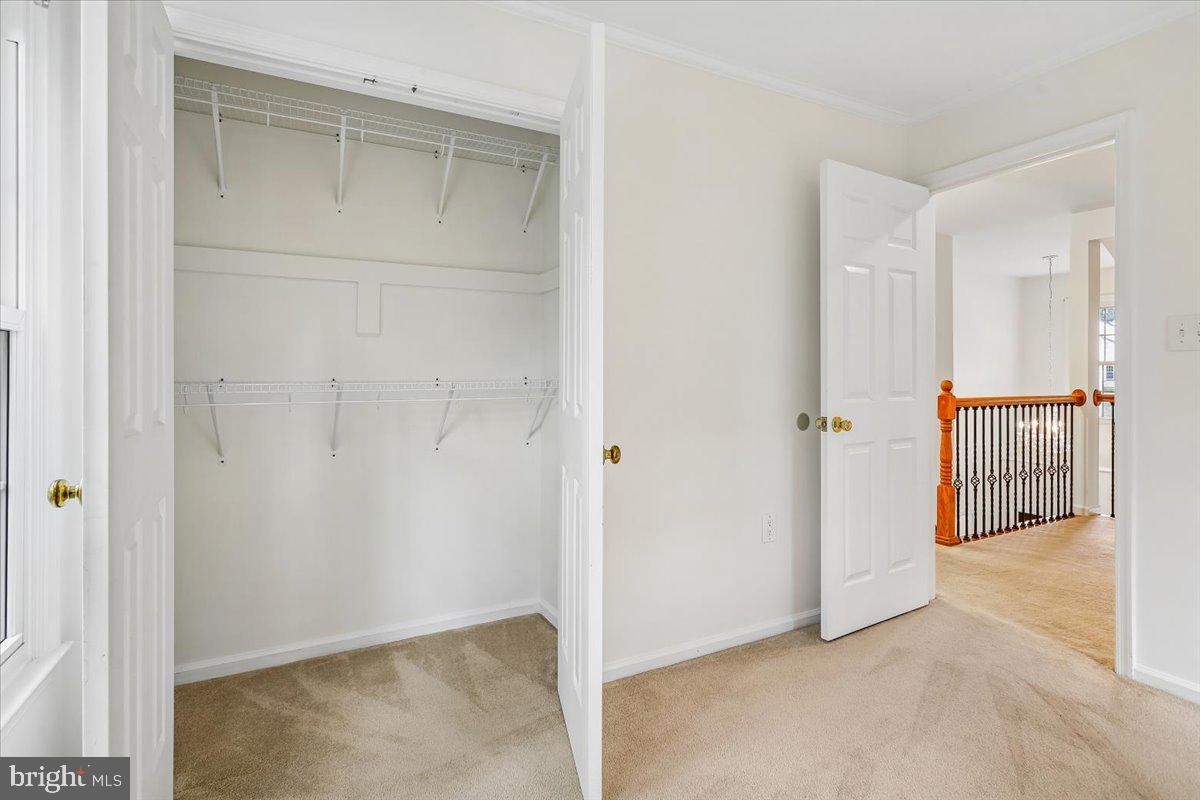 13159 Ladybank Ln Property Photo 38