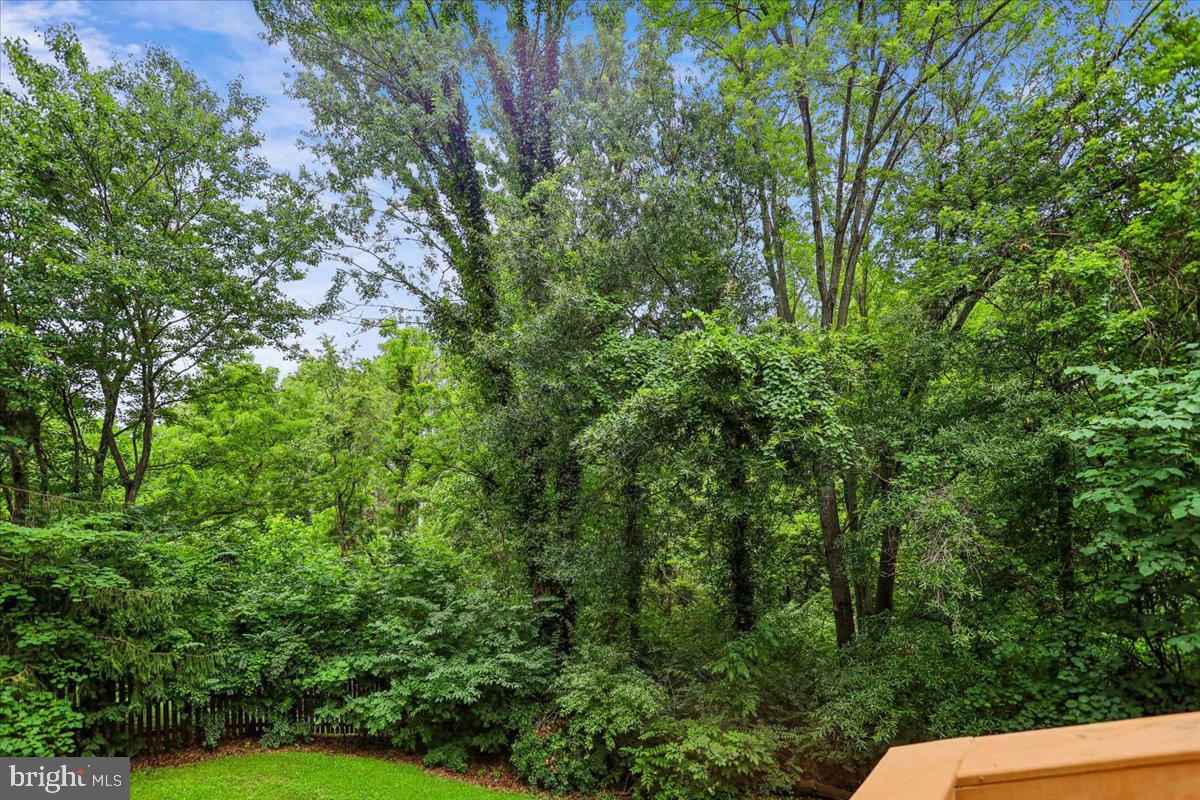 13159 Ladybank Ln Property Photo 58