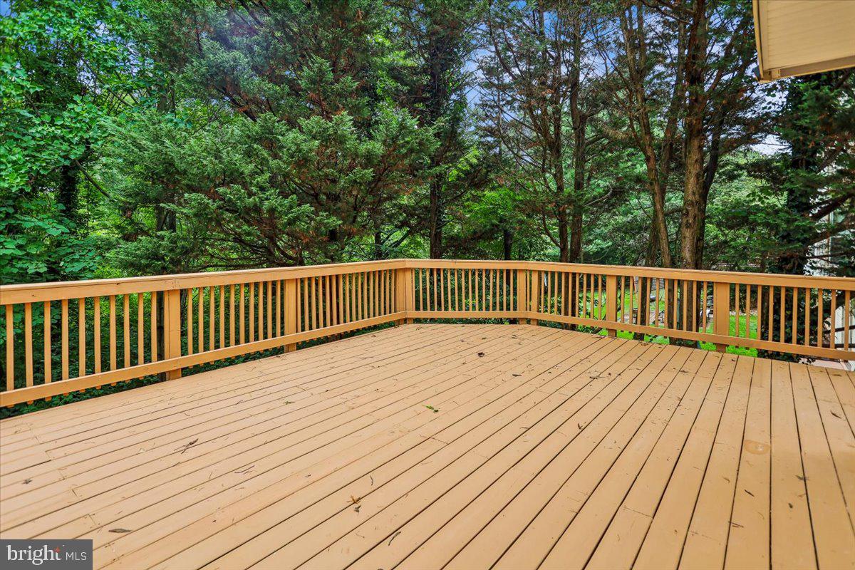 13159 Ladybank Ln Property Photo 59