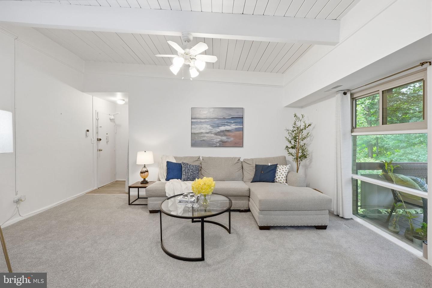 4335 Americana Dr #203 Property Photo 8