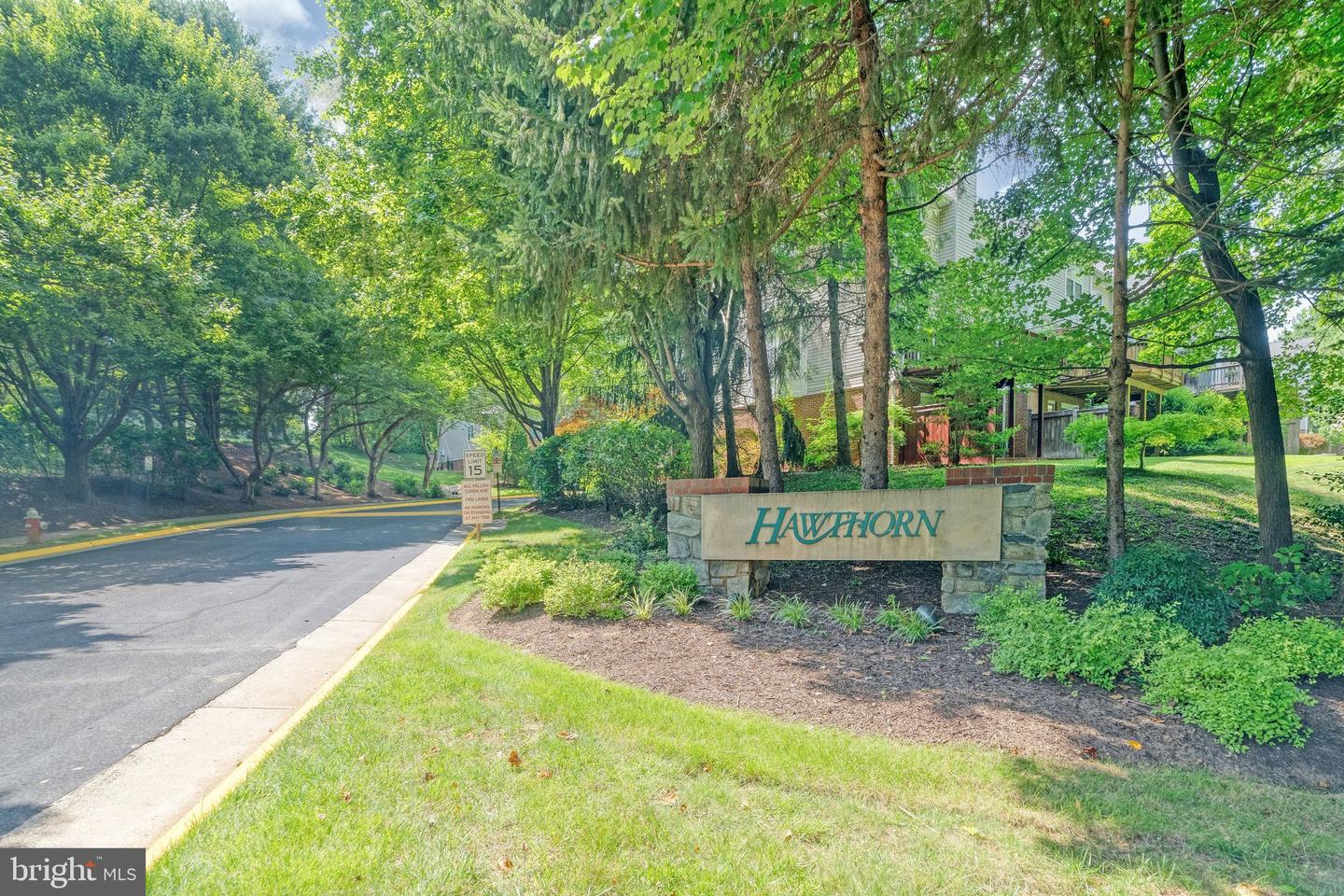 1212 Wild Hawthorn Way Property Photo 53
